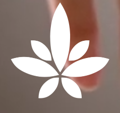 EBK CBD EBK CBD