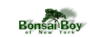 Bonsai Boy Bonsai Boy
