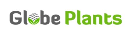 Globe Plants