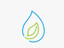 H2O Plants H2O Plants