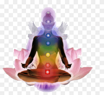 Formation reiki