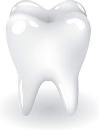 Just Teeth Just Teeth
