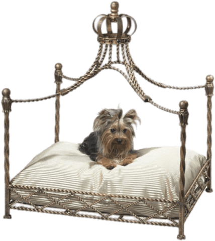 Petz Luxory Petz Luxory