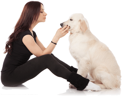 lovers of pet lovers of pet