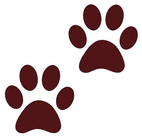 Dry Paws Dry Paws