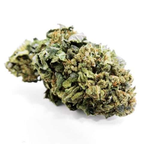 Le Grossiste CBD