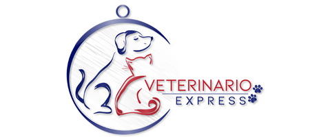 veterinario-express veterinario-express