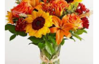 Screenshot-2025-11-26-145700